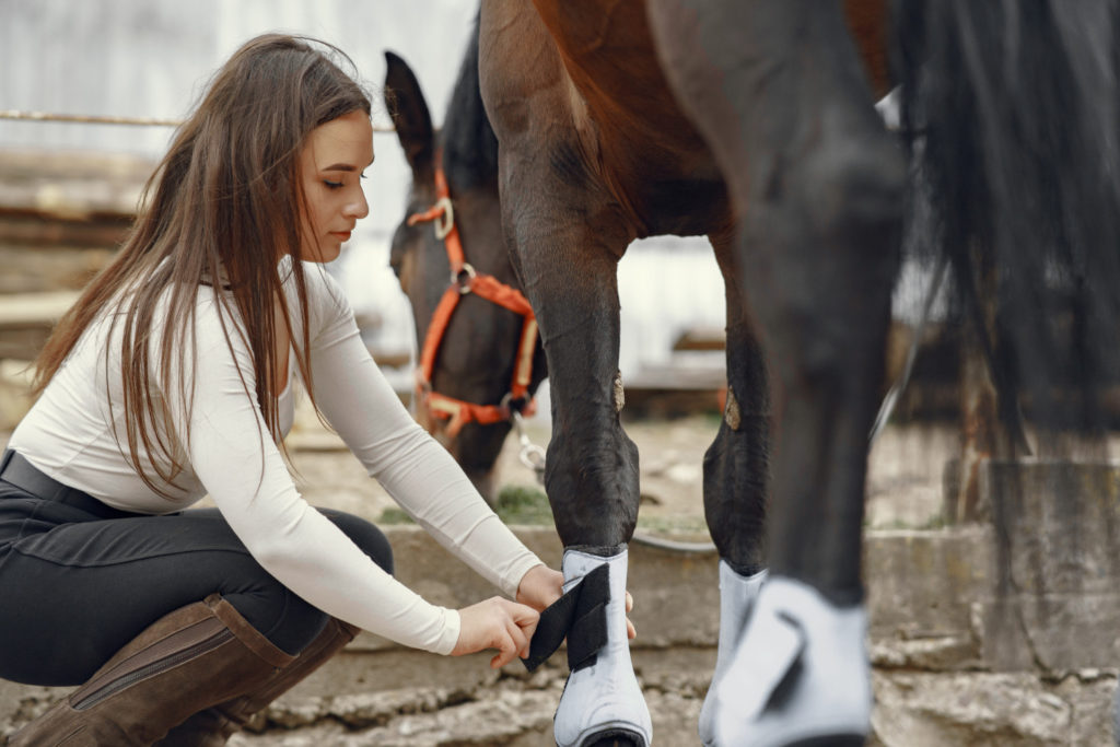Właściciel nieruchomości, który posiada konie, może liczyć na możliwość ubezpieczenia się od różnego rodzaju zdarzeń i szkód z nimi związanych