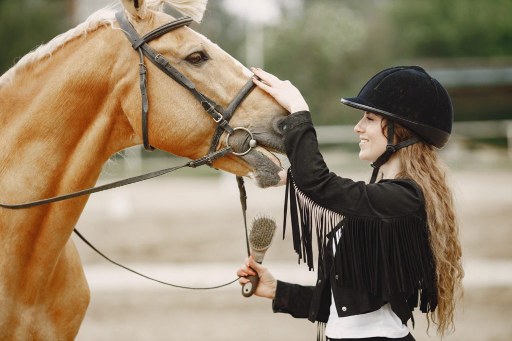 Ubezpieczenie konia chroni właściciela konia, konia i jego wyposażenie