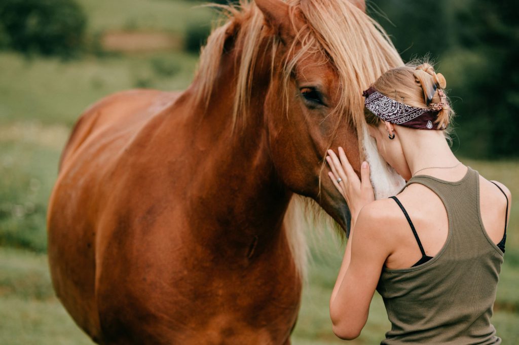 Koń to nie tylko piękne zwierzę, ale również inwestycja – zarówno finansowa, jak i emocjonalna