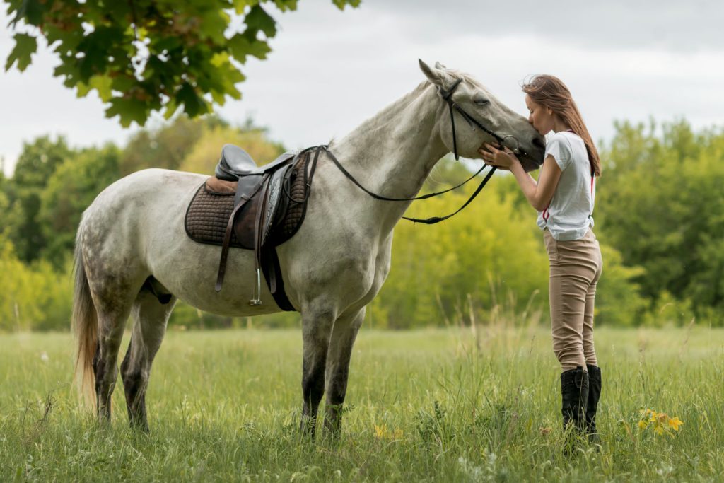 Zabezpieczenie naszego konia przed różnymi nieprzewidzianymi sytuacjami jest niezwykle ważne dla każdego właściciela