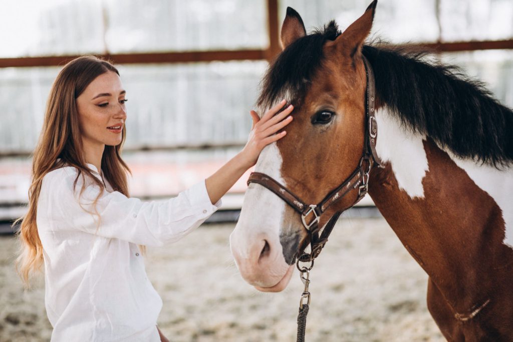 Ubezpieczenie koni to rodzaj polisy, która ma za zadanie chronić właściciela przed kosztami powstałymi w wyniku różnych sytuacji związanych z koniem